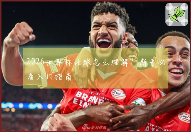 2026世界杯让球怎么理解？新手必看入门指南