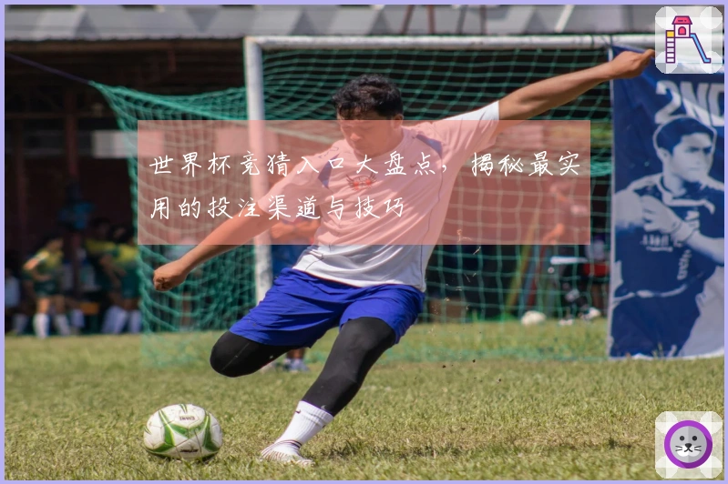 世界杯竞猜入口大盘点，揭秘最实用的投注渠道与技巧