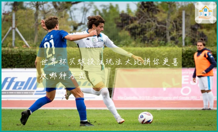 世界杯买球投注玩法大比拼你更喜欢哪种方式