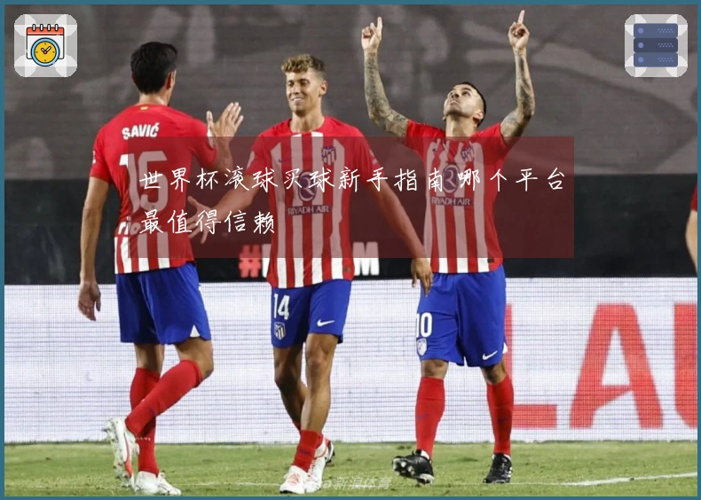 世界杯滚球买球新手指南 哪个平台最值得信赖