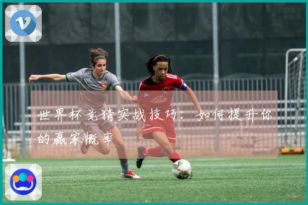 世界杯竞猜实战技巧：如何提升你的赢家概率