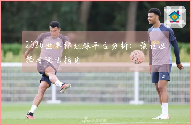 2026世界杯让球平台分析：最佳选择与玩法指南