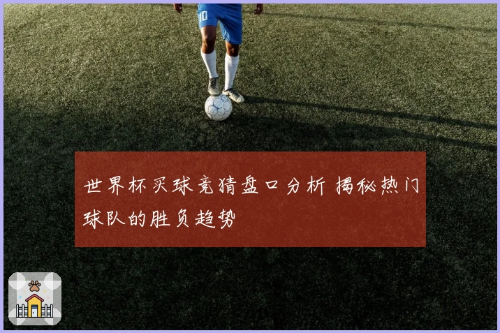 世界杯买球竞猜盘口分析 揭秘热门球队的胜负趋势