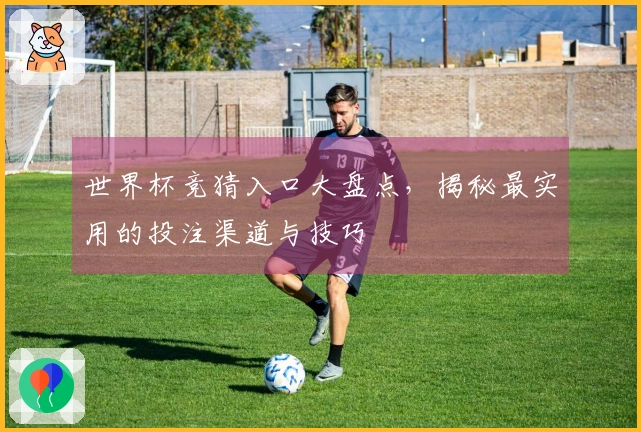 世界杯竞猜入口大盘点，揭秘最实用的投注渠道与技巧