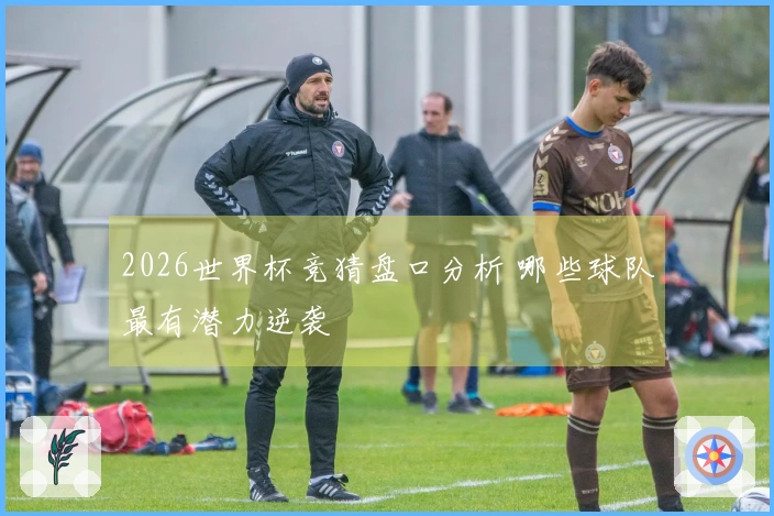 2026世界杯竞猜盘口分析 哪些球队最有潜力逆袭